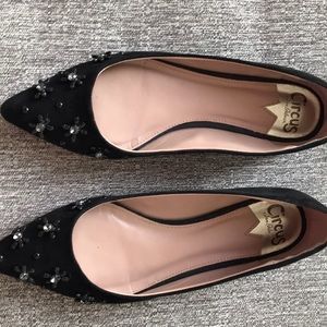 Circus by Sam Edelman black flats